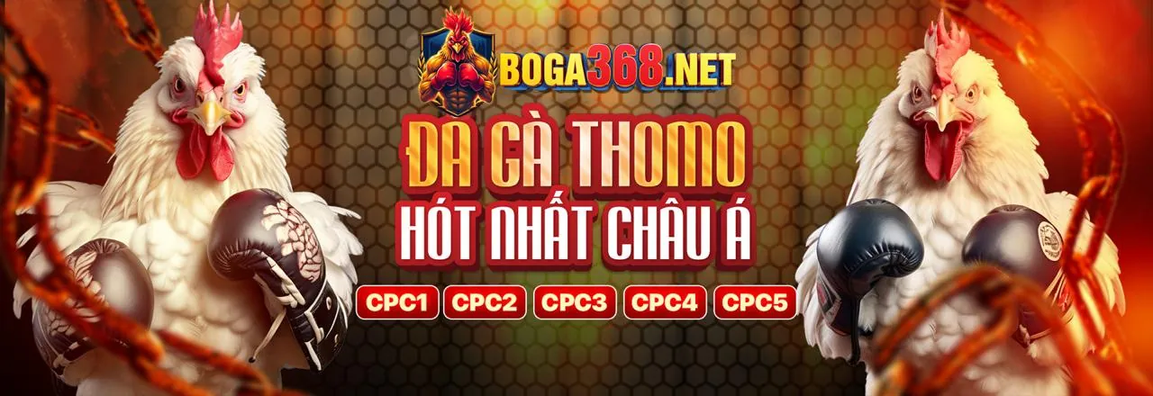 Sân đá gà trực tuyến mk88 nổ hũ