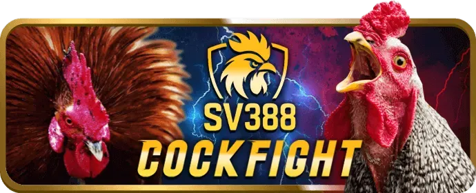 Giới thiệu game slot mới 'Kho Báu Rồng Vàng' tại MK88